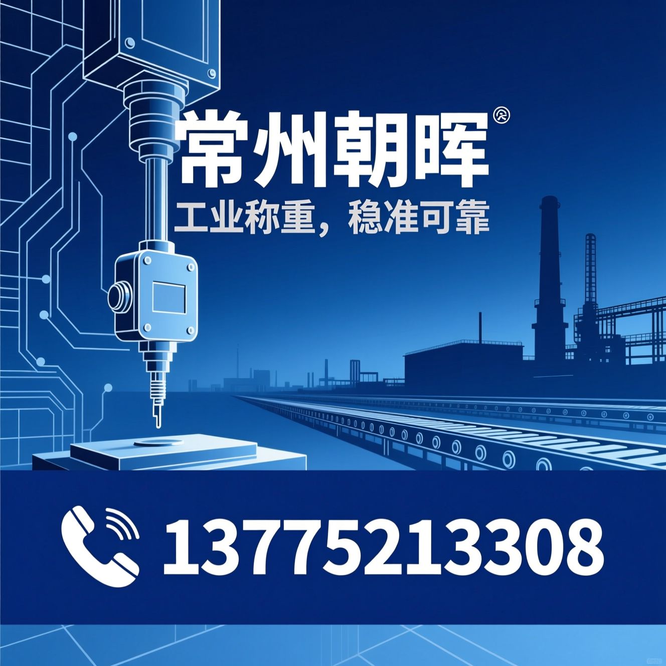 称重模块_工业称重设备/防爆称重模块/推荐常州朝晖服务