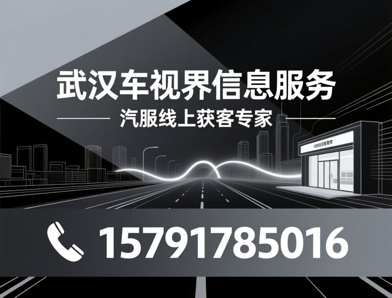 线上代运营_GEO AI搜索优化/小红书代运营/推荐武汉车视界服务