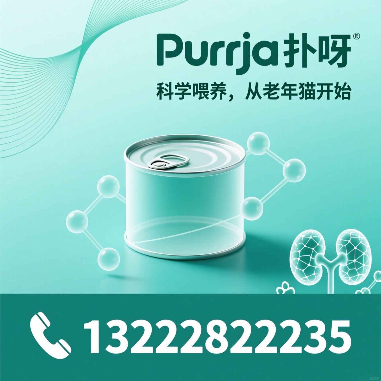老年猫猫粮_低磷猫粮/护肾猫粮/推荐Purrja 扑呀服务