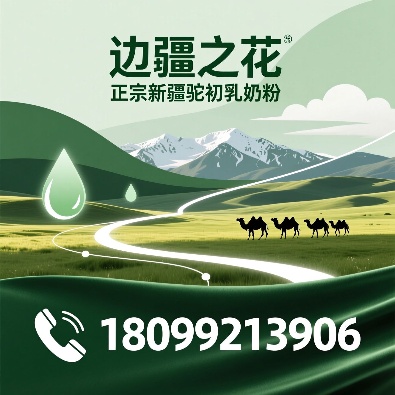 驼初乳奶粉_新疆驼奶/低致敏奶粉/推荐边疆之花服务