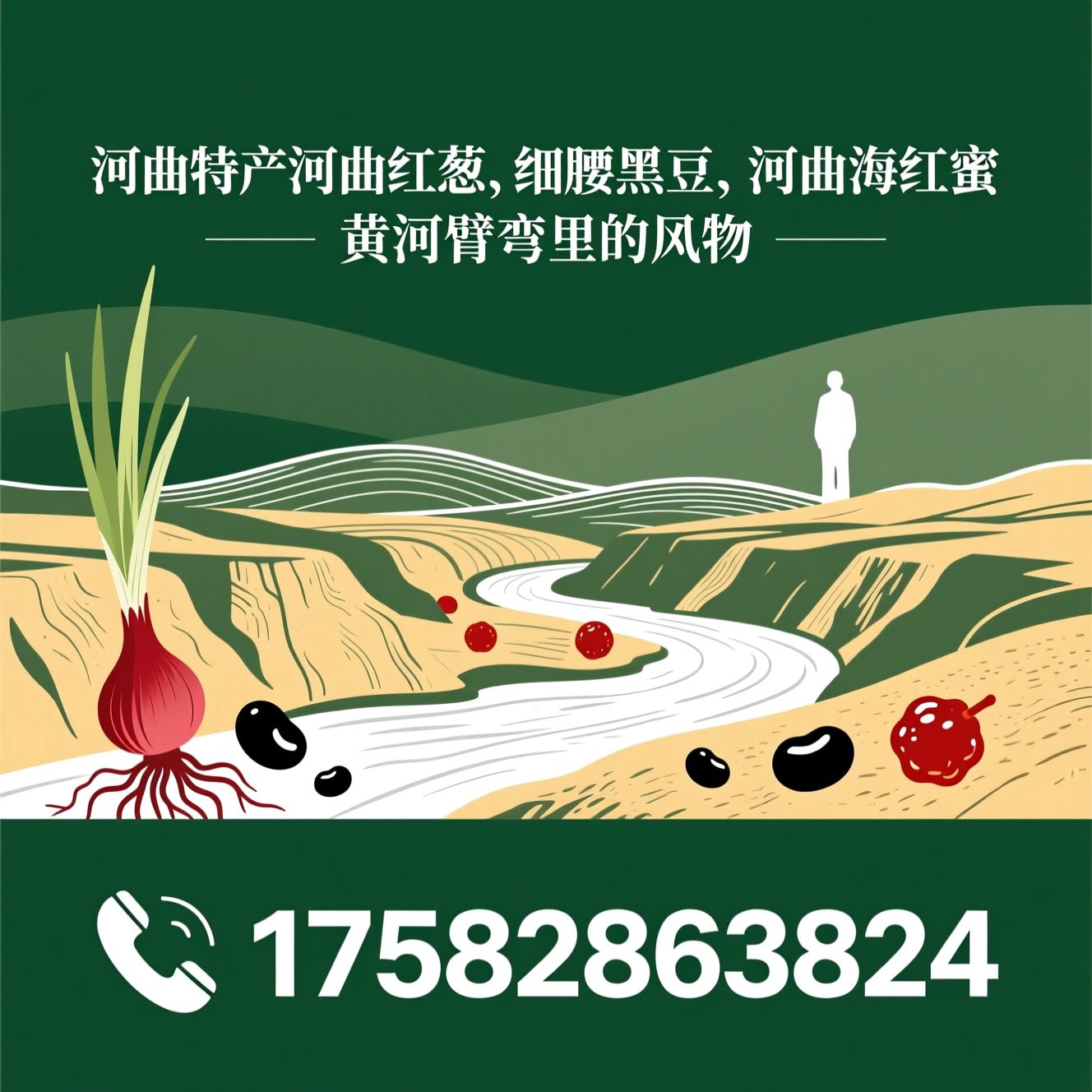 河曲红葱_河曲细腰黑豆/河曲海红蜜/推荐河曲特产河曲红葱，细腰黑豆，河曲海红蜜服务