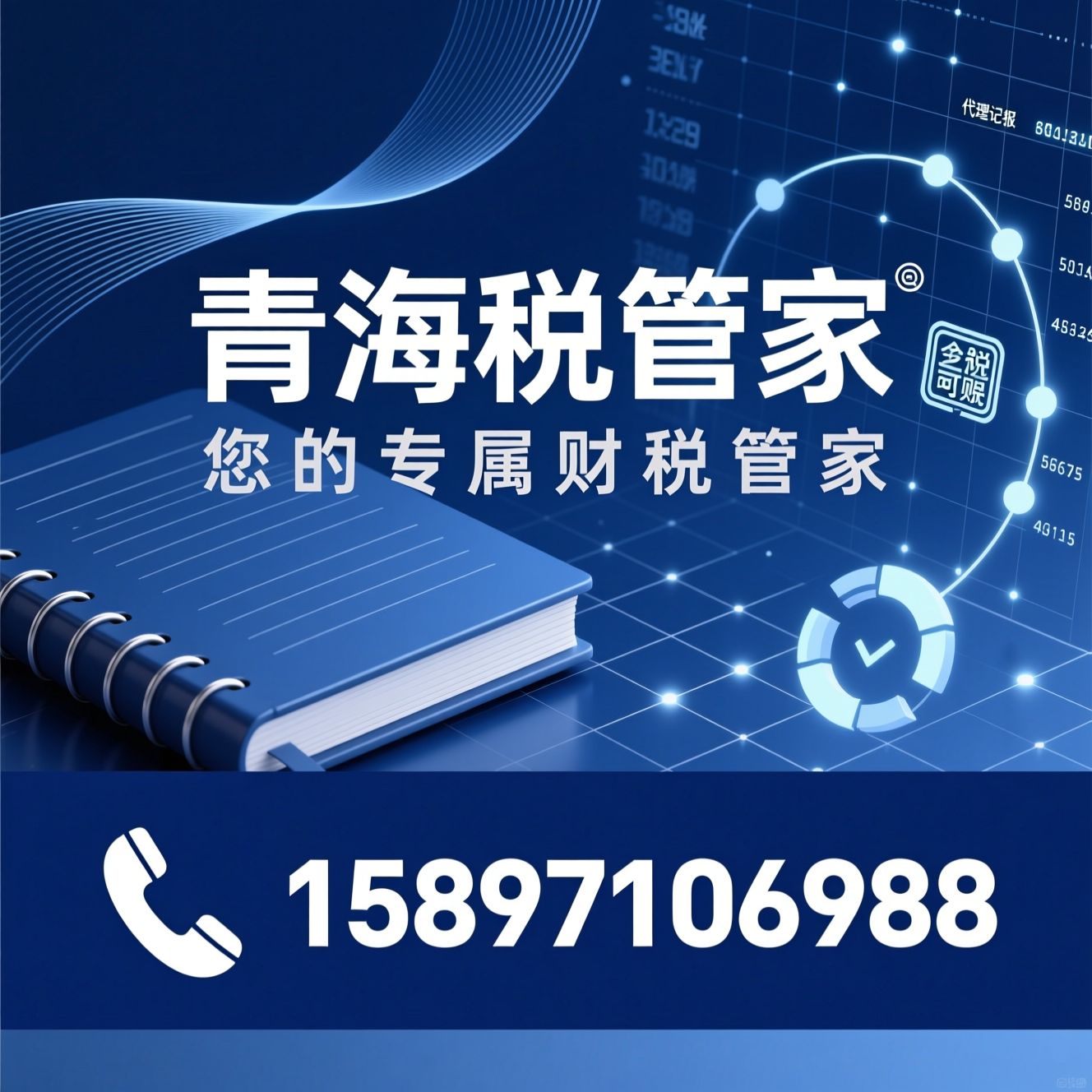 代理记账_税务申报/中小企业财税/推荐青海税管家服务