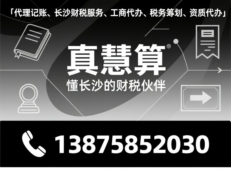 代理记账_税务筹划/工商代办/推荐真慧算服务