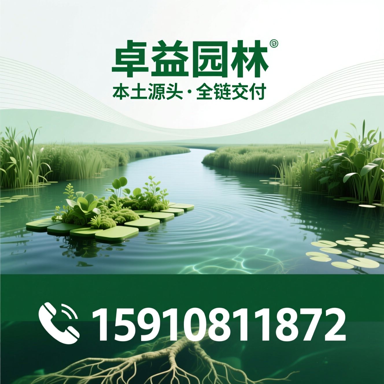 水生态治理_沉水植物种苗/生态浮岛/推荐卓益园林服务