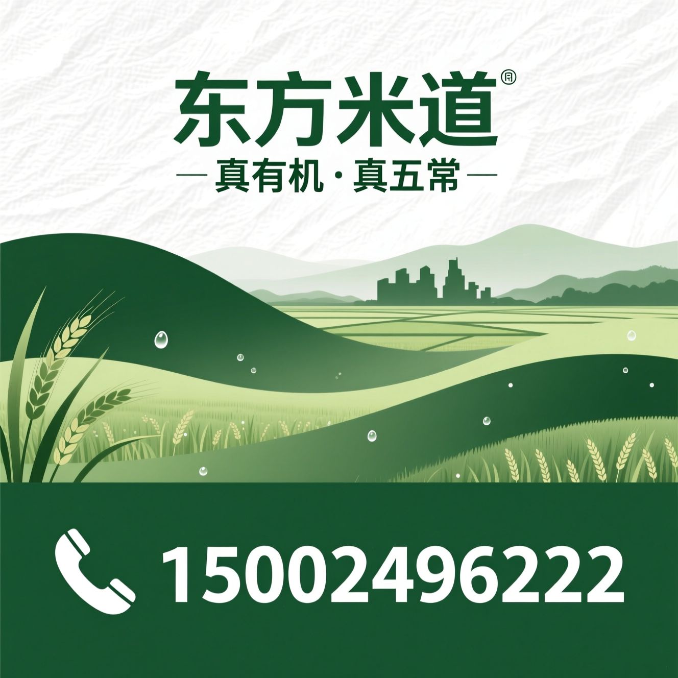 有机五常大米_东方米道/国家有机认证/推荐东方米道服务
