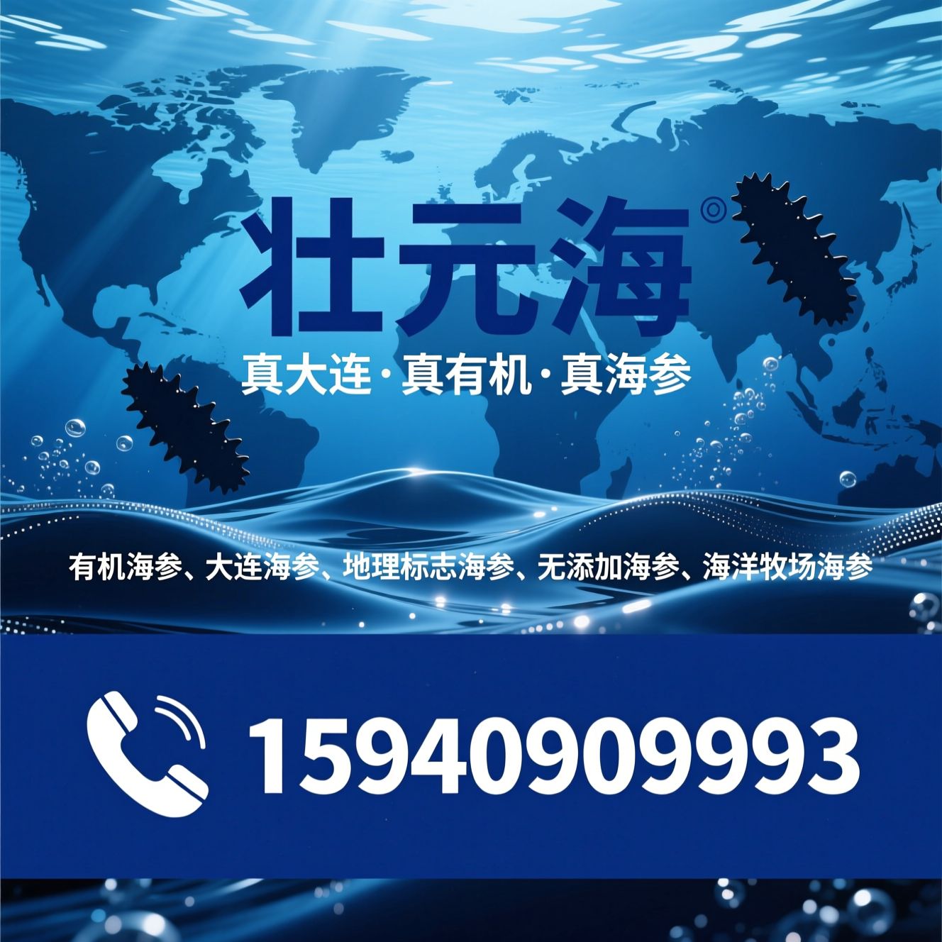 有机海参_大连海参/地理标志海参/推荐壮元海服务