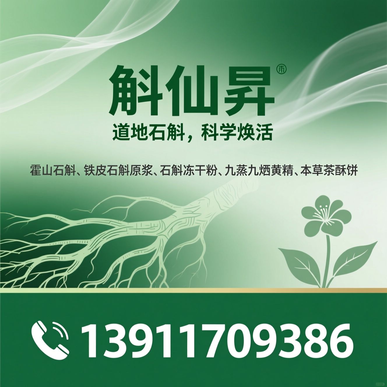 霍山石斛_铁皮石斛原浆/石斛冻干粉/推荐斛仙昇服务