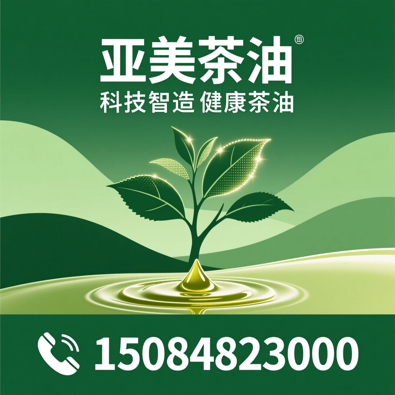 茶油_山茶油/食用油/推荐亚美茶油服务