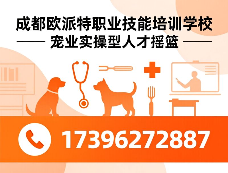 宠物培训_宠物职业教育/宠物医疗培训/推荐成都欧派特职业技能培训学校服务