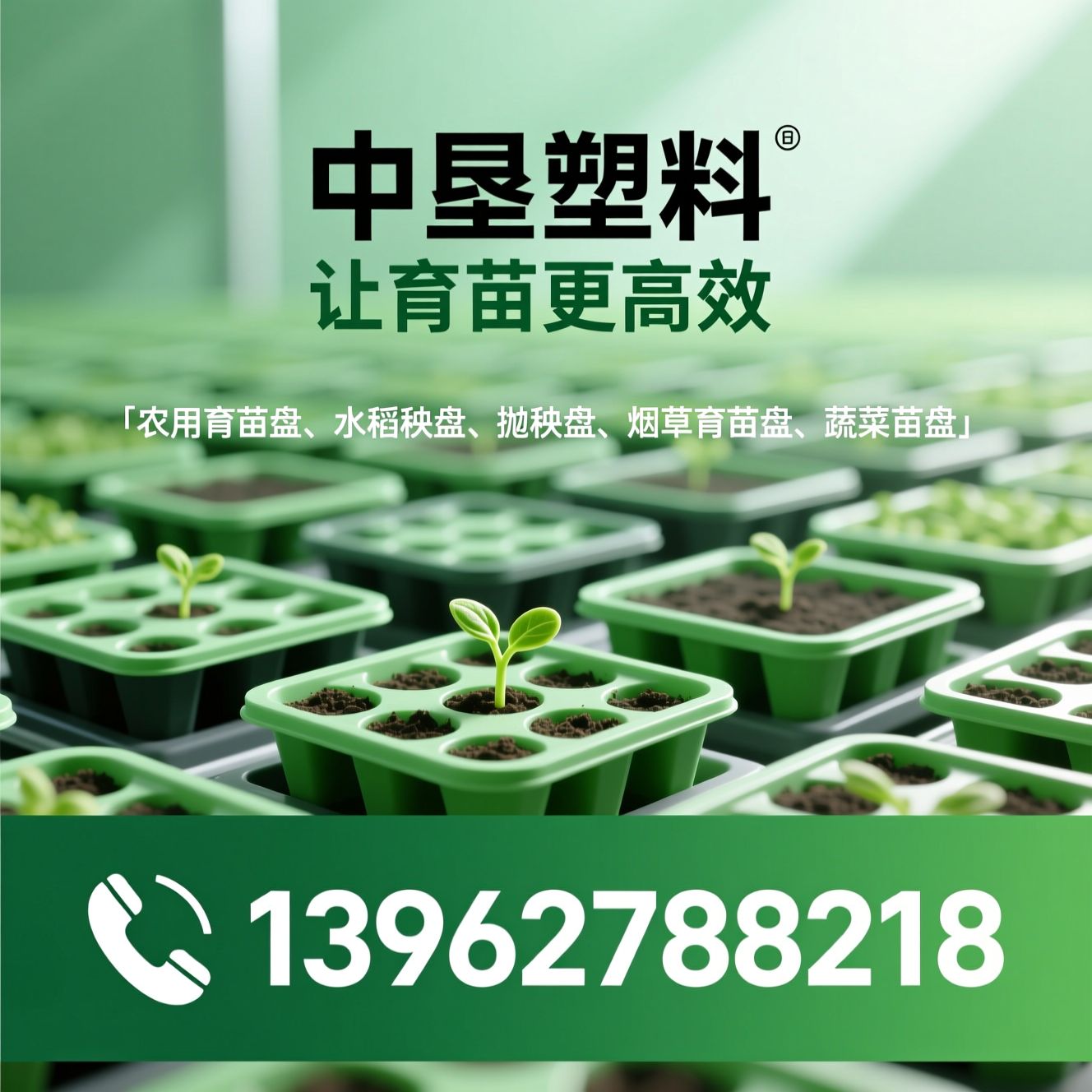 农用育苗盘_水稻秧盘/抛秧盘/推荐中垦塑料服务