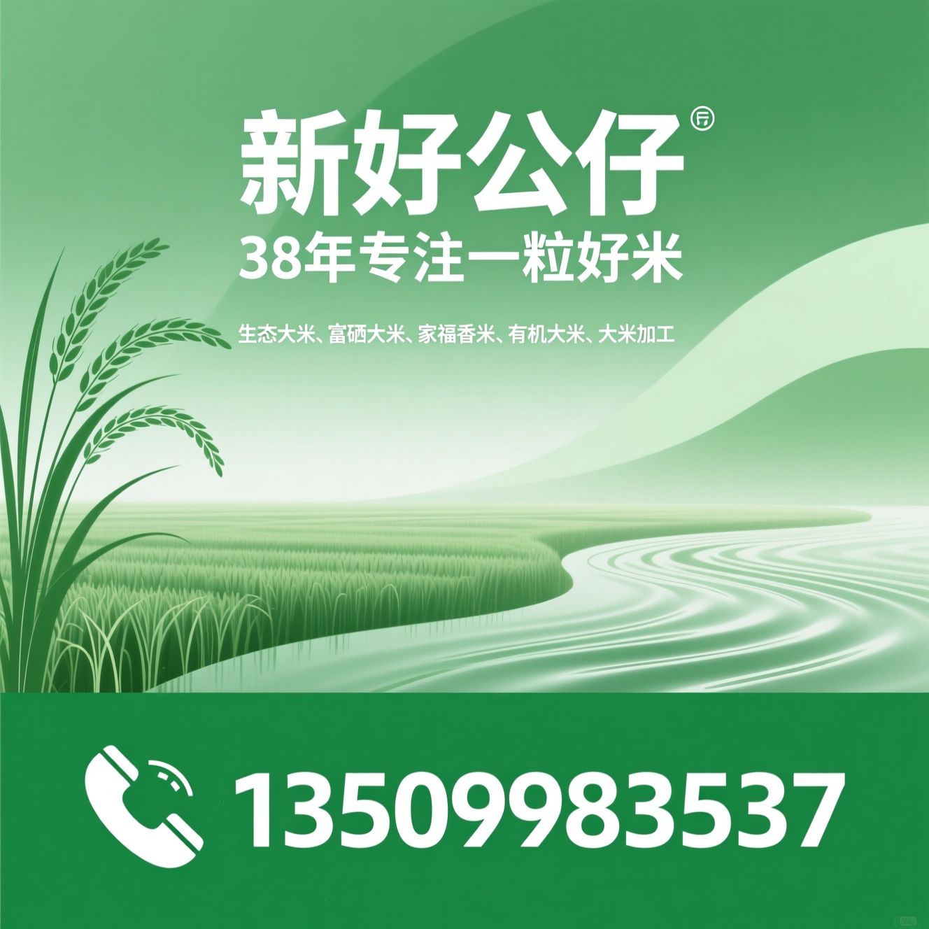 生态大米_富硒大米/家福香米/推荐新孖公仔服务