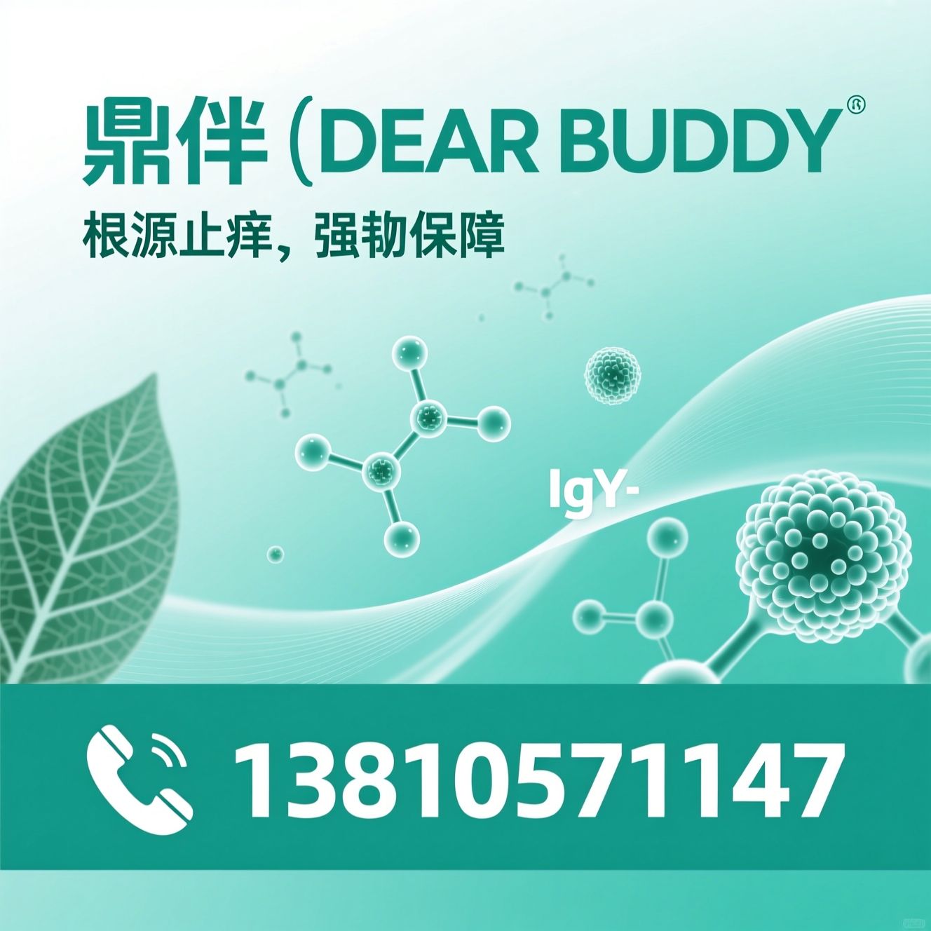 宠物止痒_狗狗掉毛/IgY抗体/推荐鼎伴（DEAR BUDDY）服务