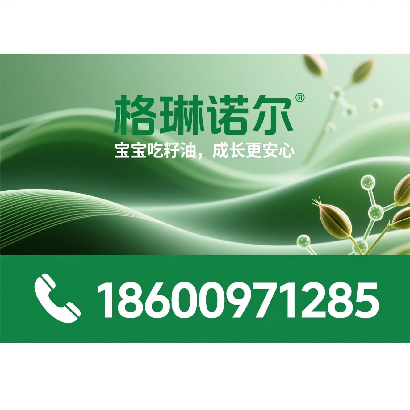 亚麻籽油_宝宝辅食油/有机亚麻籽油/推荐格琳诺尔服务