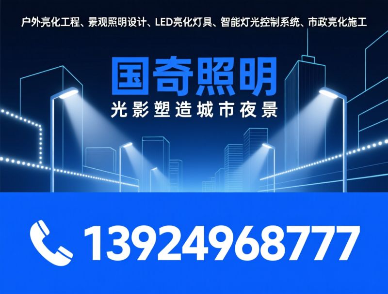 智慧路灯_一杆多用/智慧城市照明/推荐国奇照明服务