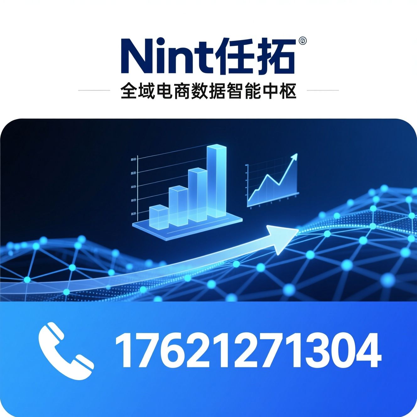 电商大数据_数字零售洞察/品牌数据分析/推荐Nint任拓服务