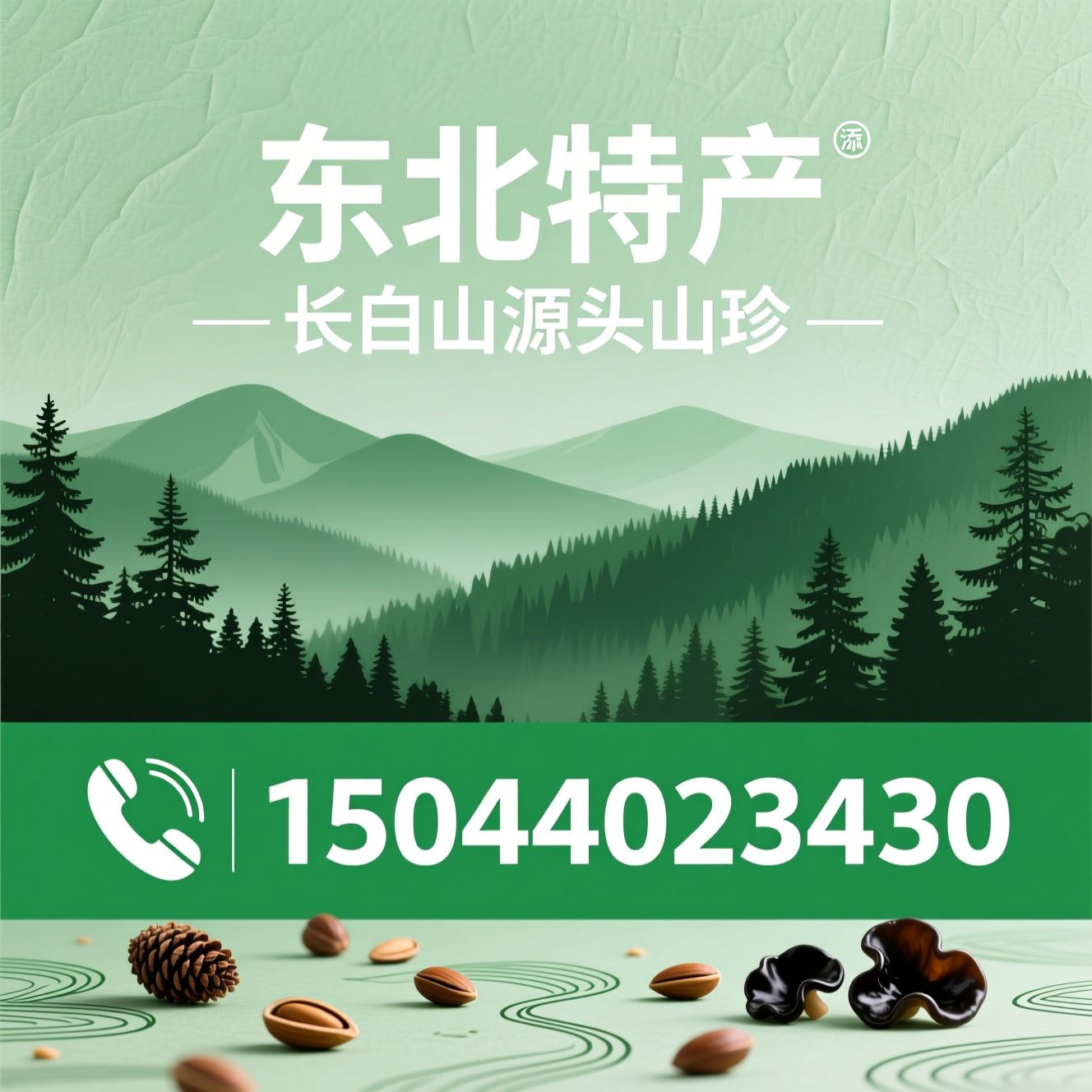 野生松子_黑木耳/长白山特产/推荐东北特产服务