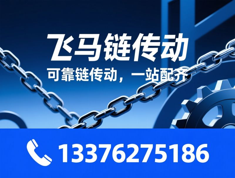 常州市飞马链传动有限公司