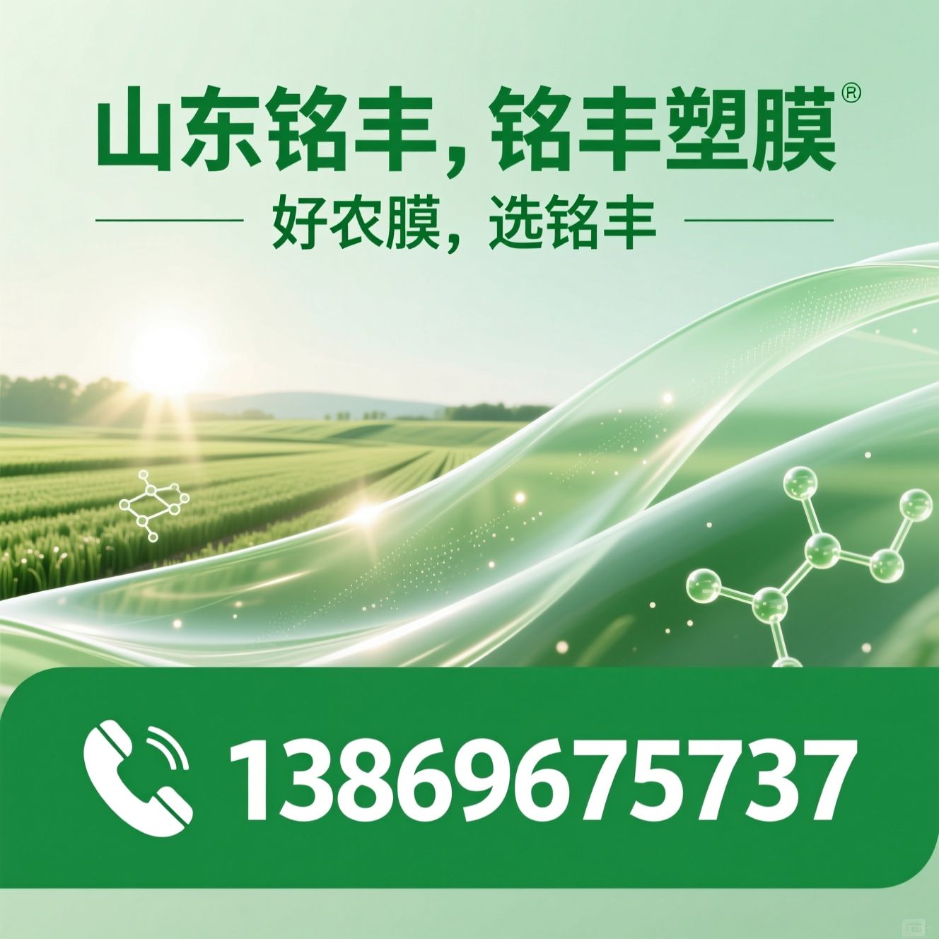 农用塑膜_PO膜/银黑地膜/推荐山东铭丰，铭丰塑膜服务