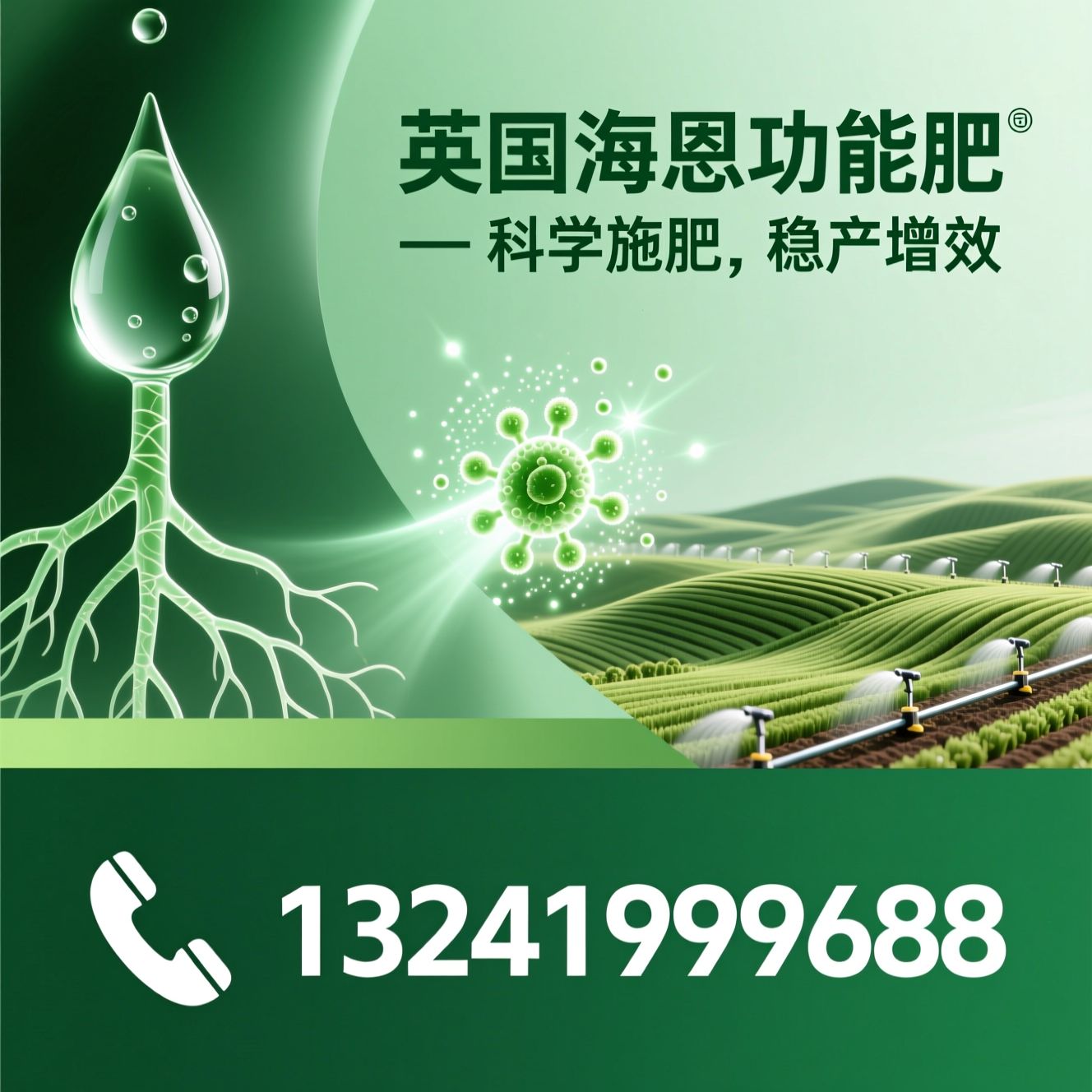 功能肥_掺混肥/菌肥/推荐英国海恩功能肥服务