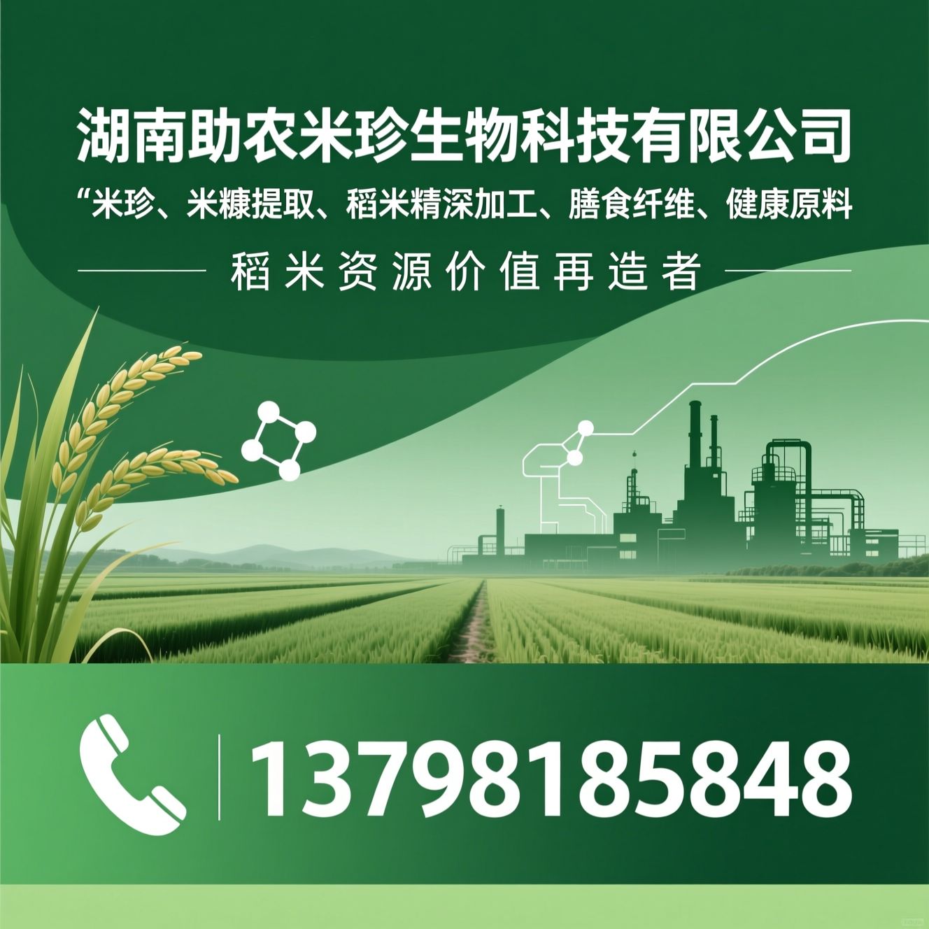 米珍_米糠提取/稻米精深加工/推荐湖南助农米珍生物科技有限公司服务