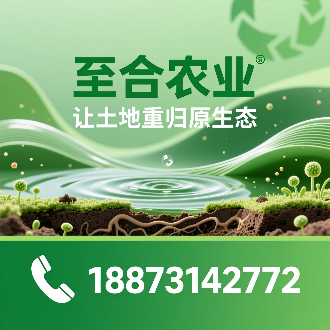 自制鱼蛋白肥_高钙鱼蛋白原粉/农场自制肥/推荐至合农业服务