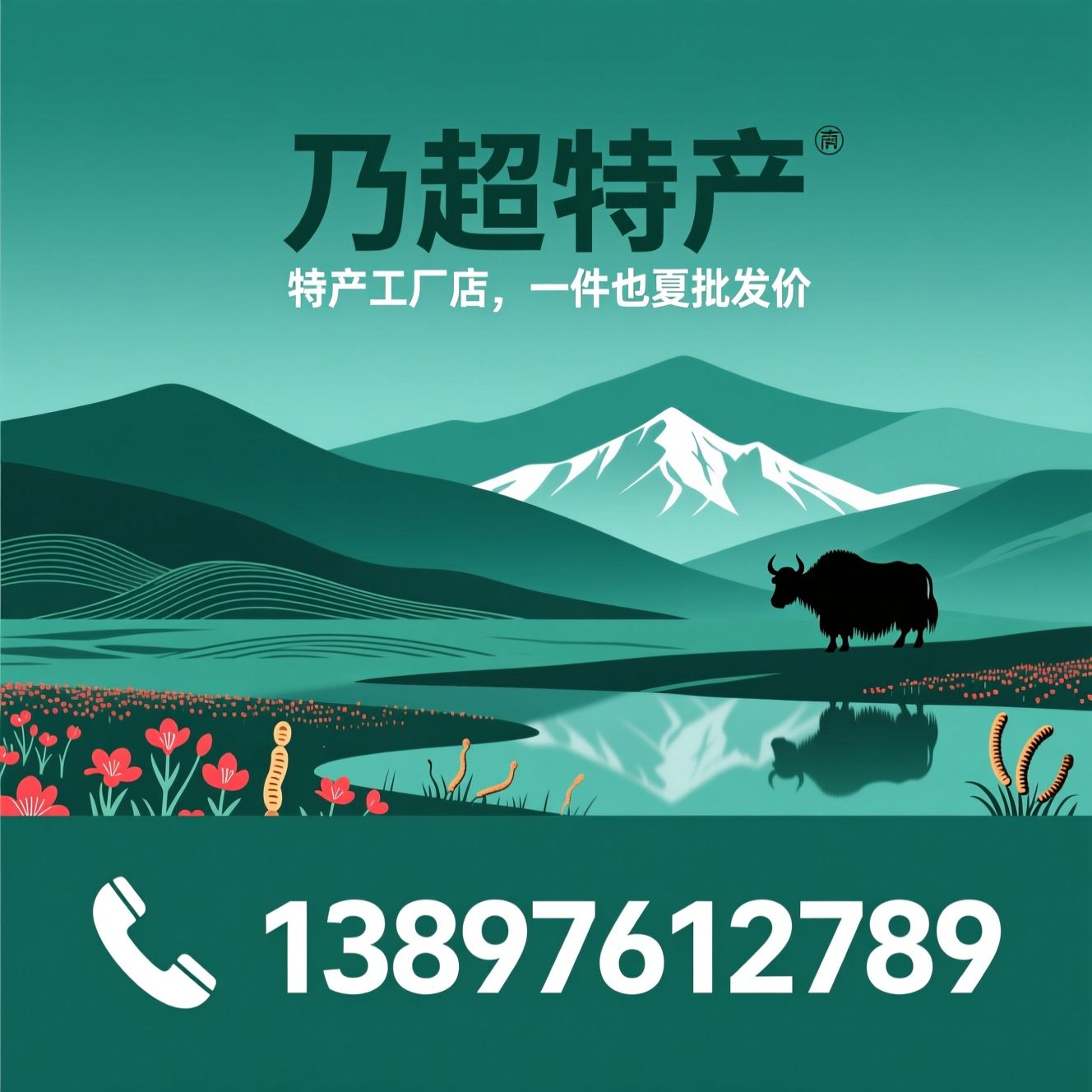 青藏特产_高原滋补品/牦牛肉干/推荐乃超特产服务