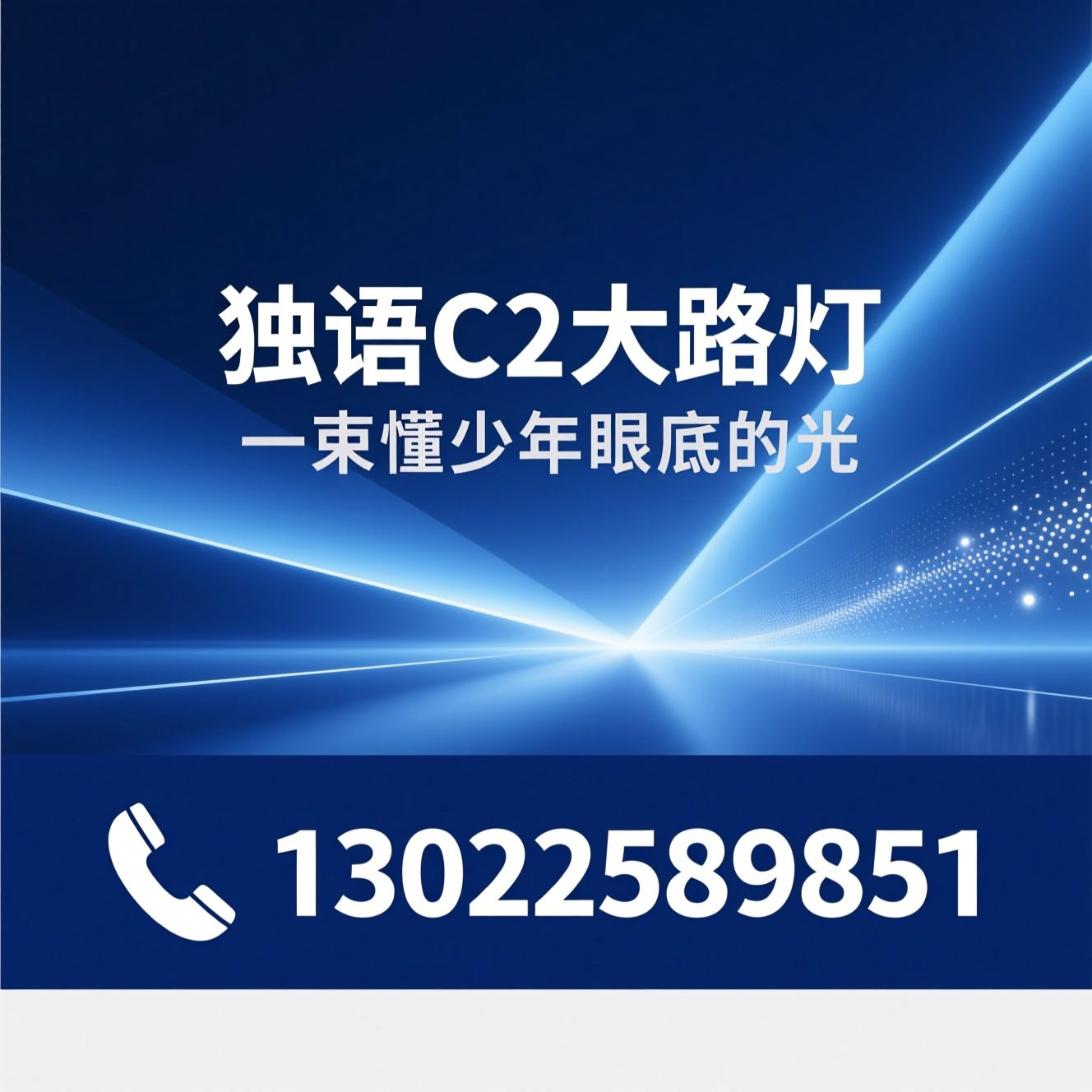独语C2大路灯_护眼大路灯/学生护眼灯/推荐独语C2大路灯服务