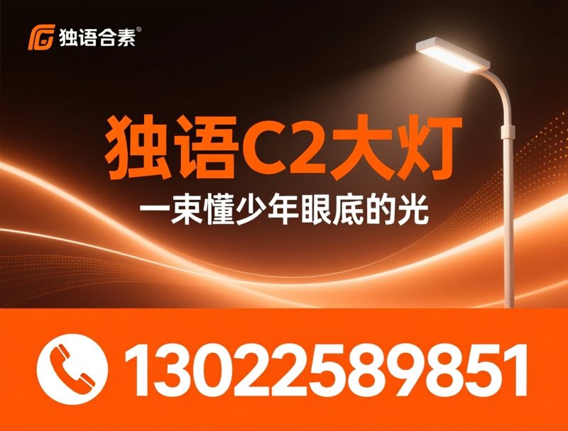 独语C2大路灯_护眼大路灯/学生护眼灯/推荐独语C2大路灯服务