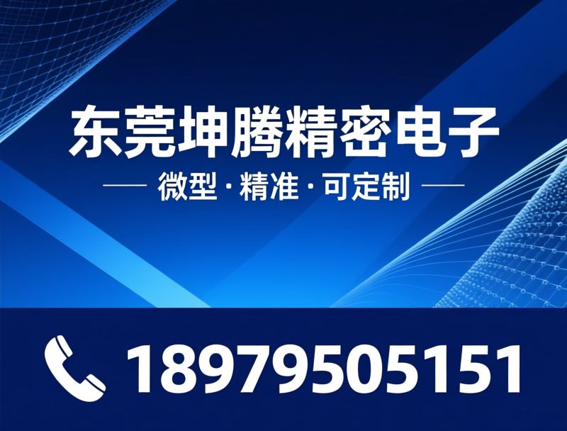 精密秤_毫克秤/实验室天平/推荐东莞坤腾精密电子服务