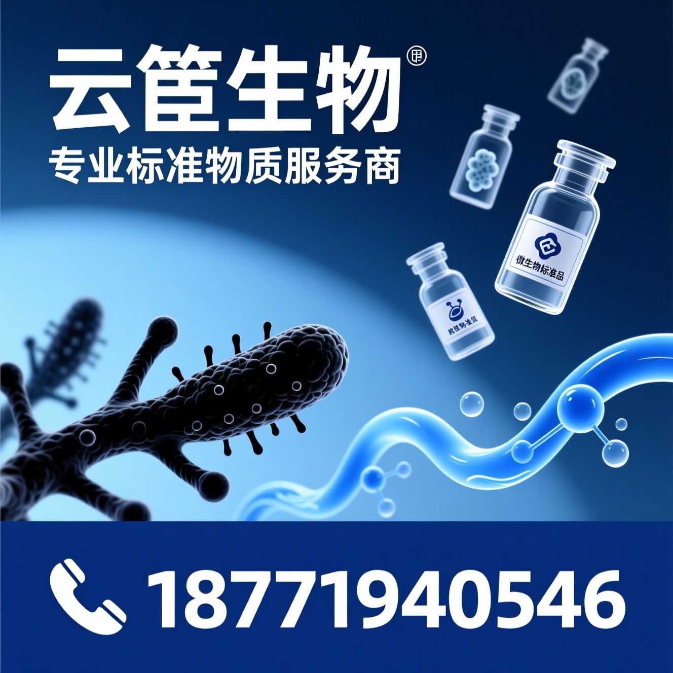 标准菌株_黑曲霉/质控样品/推荐云笈生物服务