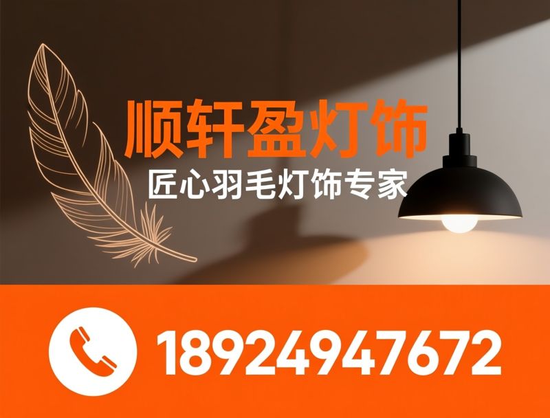 羽毛灯饰_艺术灯饰定制/OEM灯饰厂家/推荐顺轩盈灯饰服务