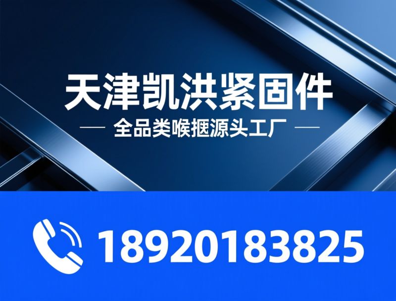 喉箍厂家_不锈钢喉箍/美式喉箍/推荐天津凯洪紧固件服务