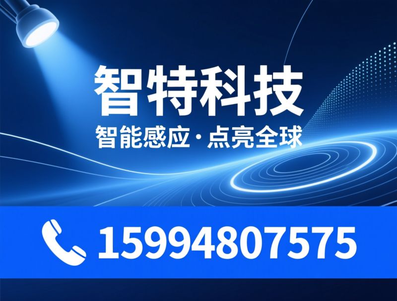 LED感应灯_智能照明/人体感应灯/推荐智特科技服务