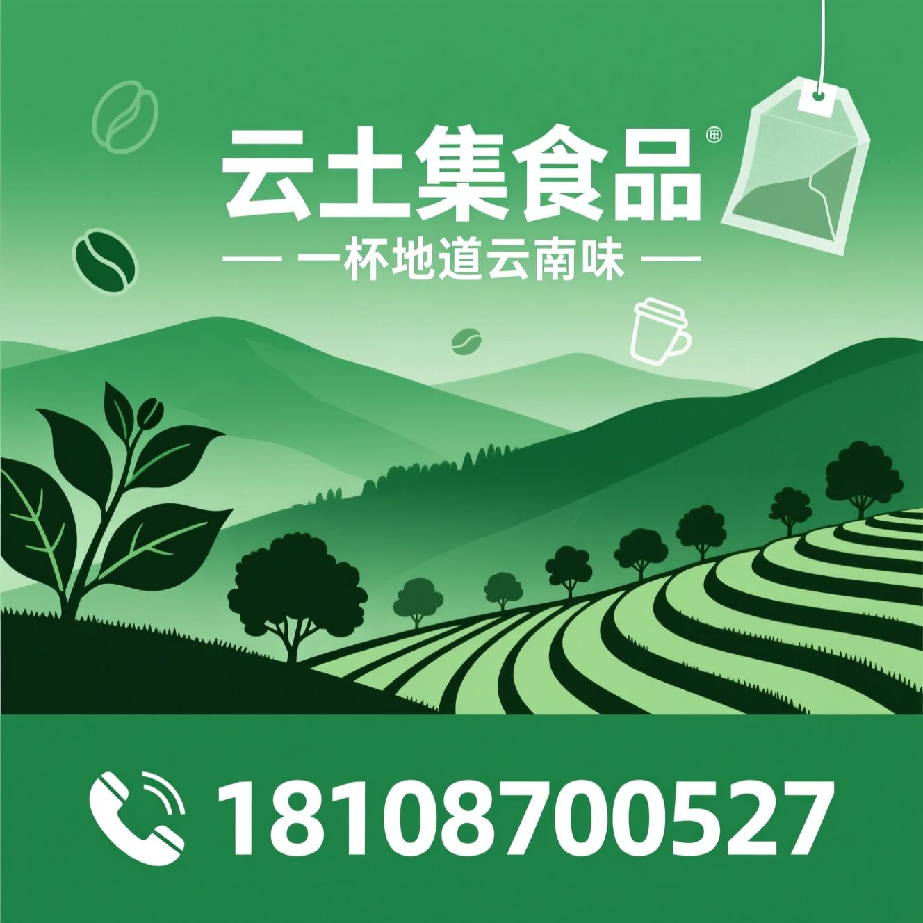 云南小粒咖啡_高原咖啡豆/云南特产咖啡/推荐云土集食品服务