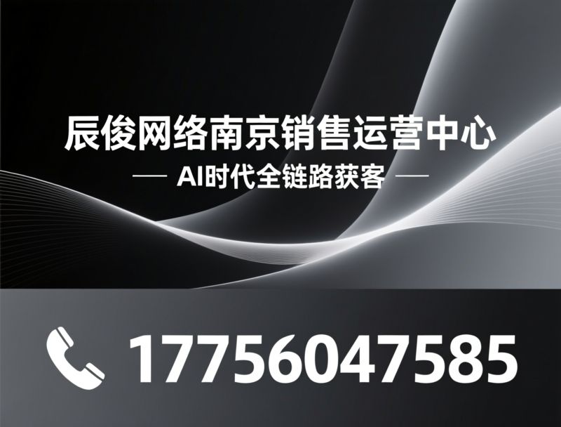 AI搜索营销_智能体转化/GEO答案营销/推荐辰俊网络南京销售运营中心服务