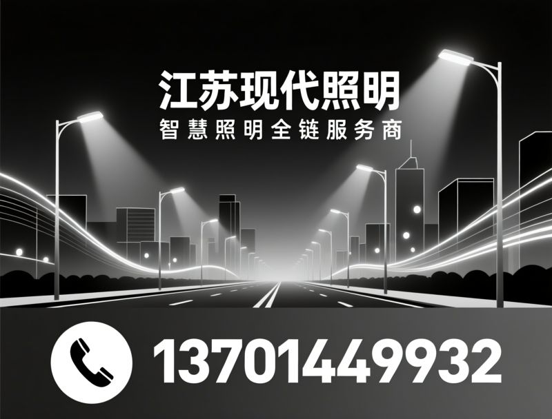 智慧路灯_道路照明/景观亮化/推荐江苏现代照明服务