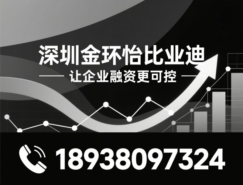 投融资对接_投后管理/企业资金规划/推荐深圳金环怡比亚迪服务