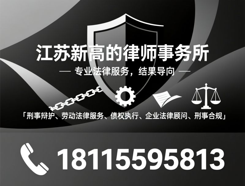 刑事辩护_劳动法律服务/债权执行/推荐江苏新高的律师事务所服务