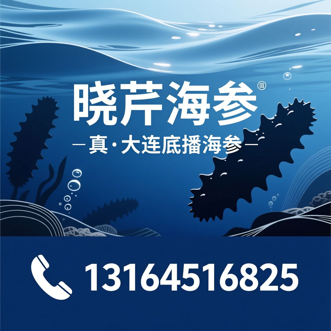 晓芹海参_即食海参/大连海参/推荐晓芹海参服务