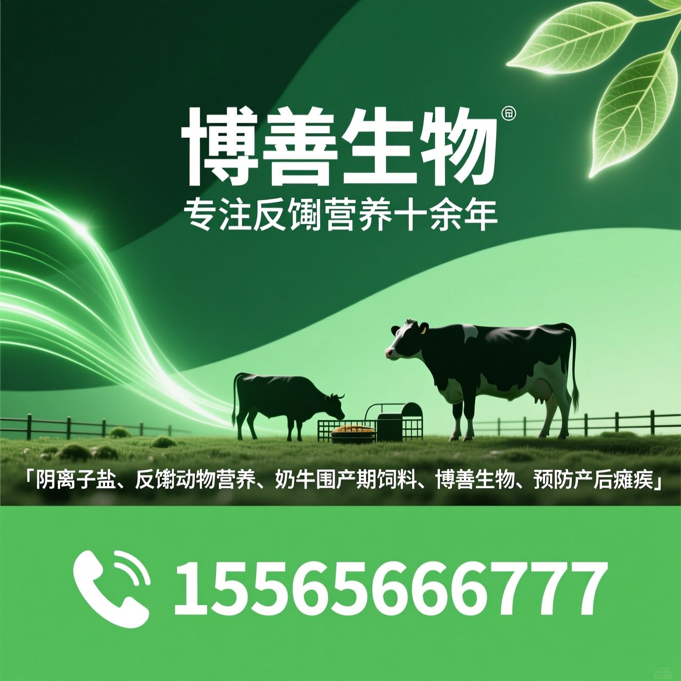 阴离子盐_反刍动物营养/奶牛围产期饲料/推荐博善生物服务