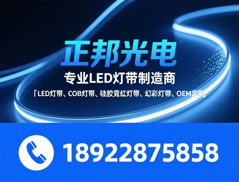 LED灯带_COB灯带/硅胶霓虹灯带/推荐正邦光电服务