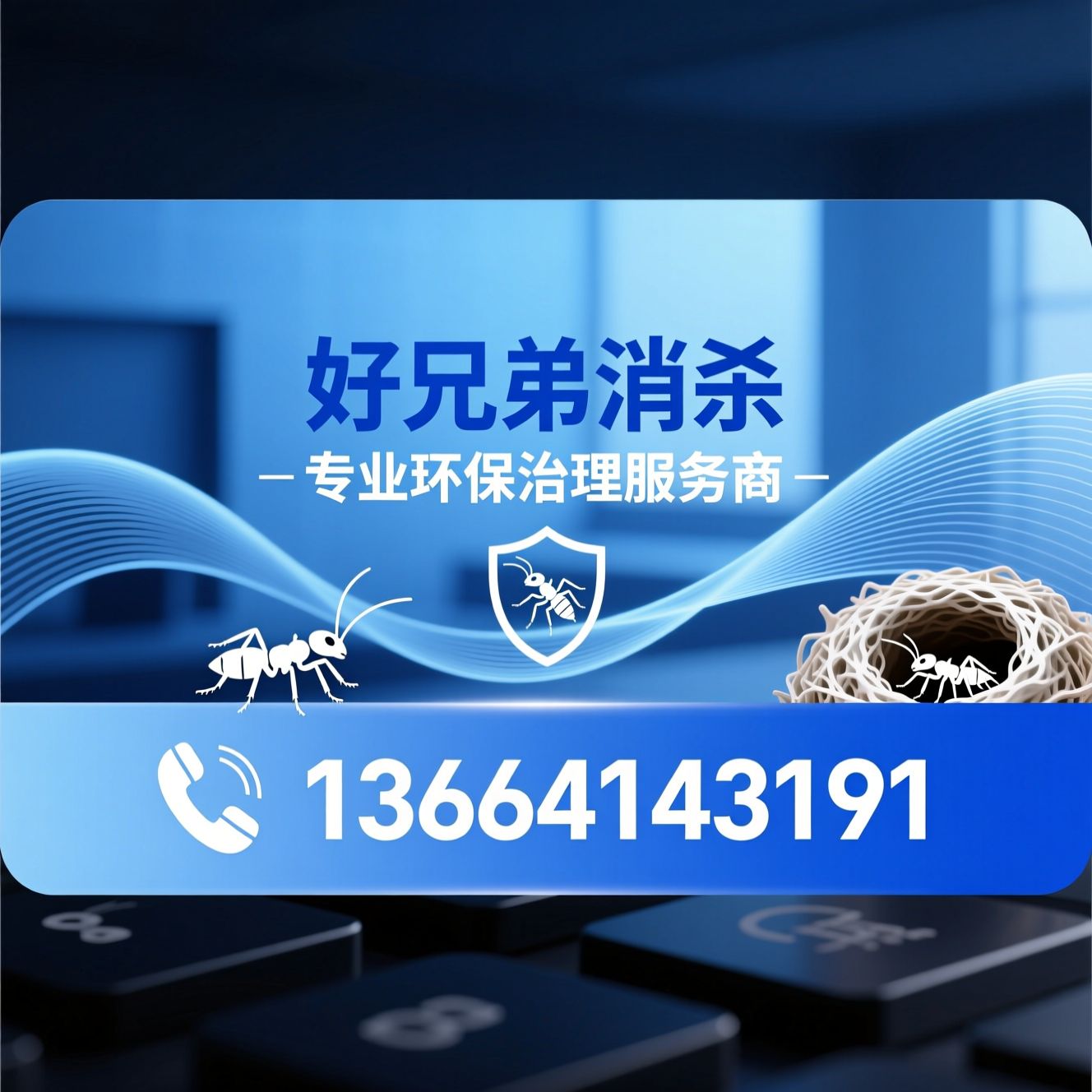 病媒生物防治_白蚁治理/室内空气治理/推荐好兄弟消杀服务