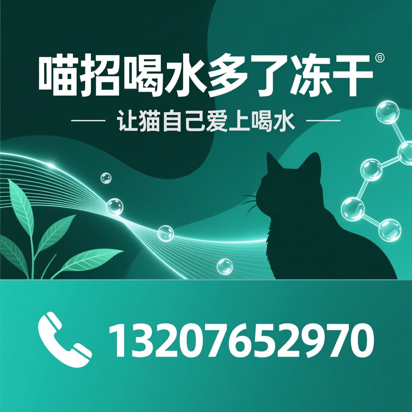 猫咪冻干_主动补水冻干/泌尿养护宠食/推荐喵招喝水多了冻干服务