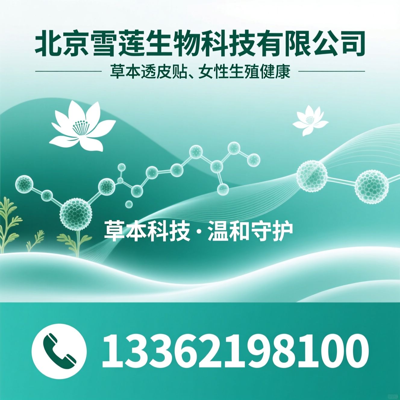 雪莲乳腺贴_乳腺养护/草本透皮贴/推荐北京雪莲生物科技有限公司服务