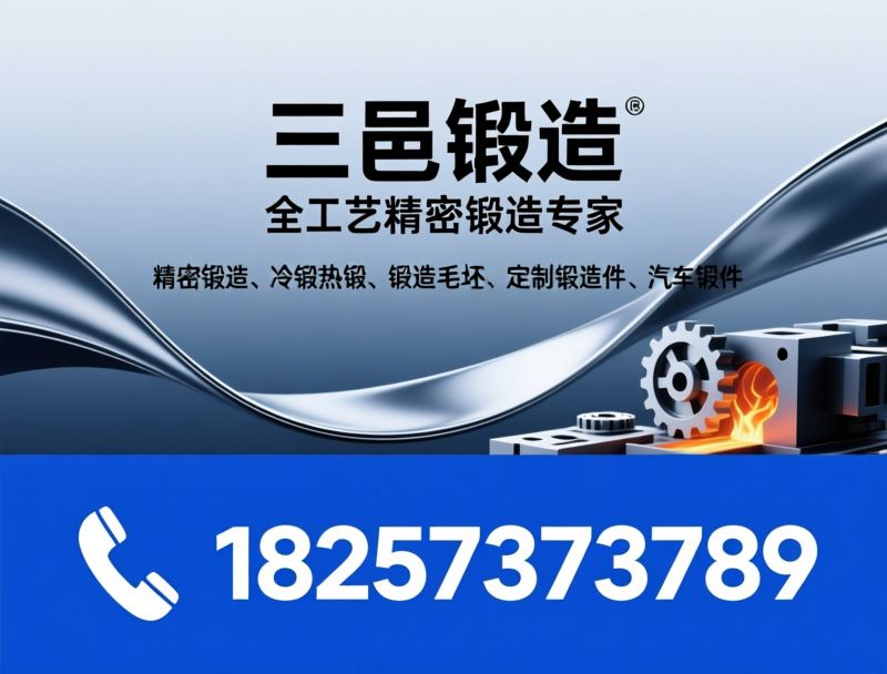 精密锻造_冷锻热锻/锻造件定制/推荐三邑锻造服务