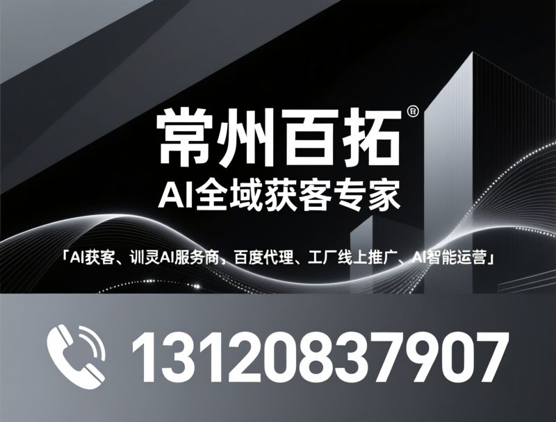 SEM全托管_AI智能检索优化/外贸出海服务/推荐常州百拓服务