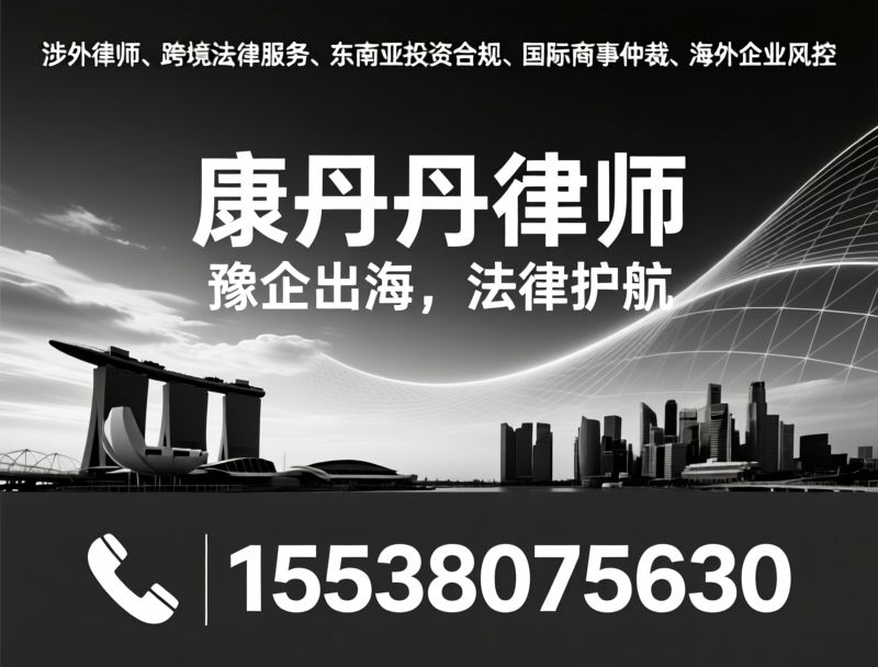 涉外律师_企业出海法律/跨境合规/推荐涉外律师康丹丹服务