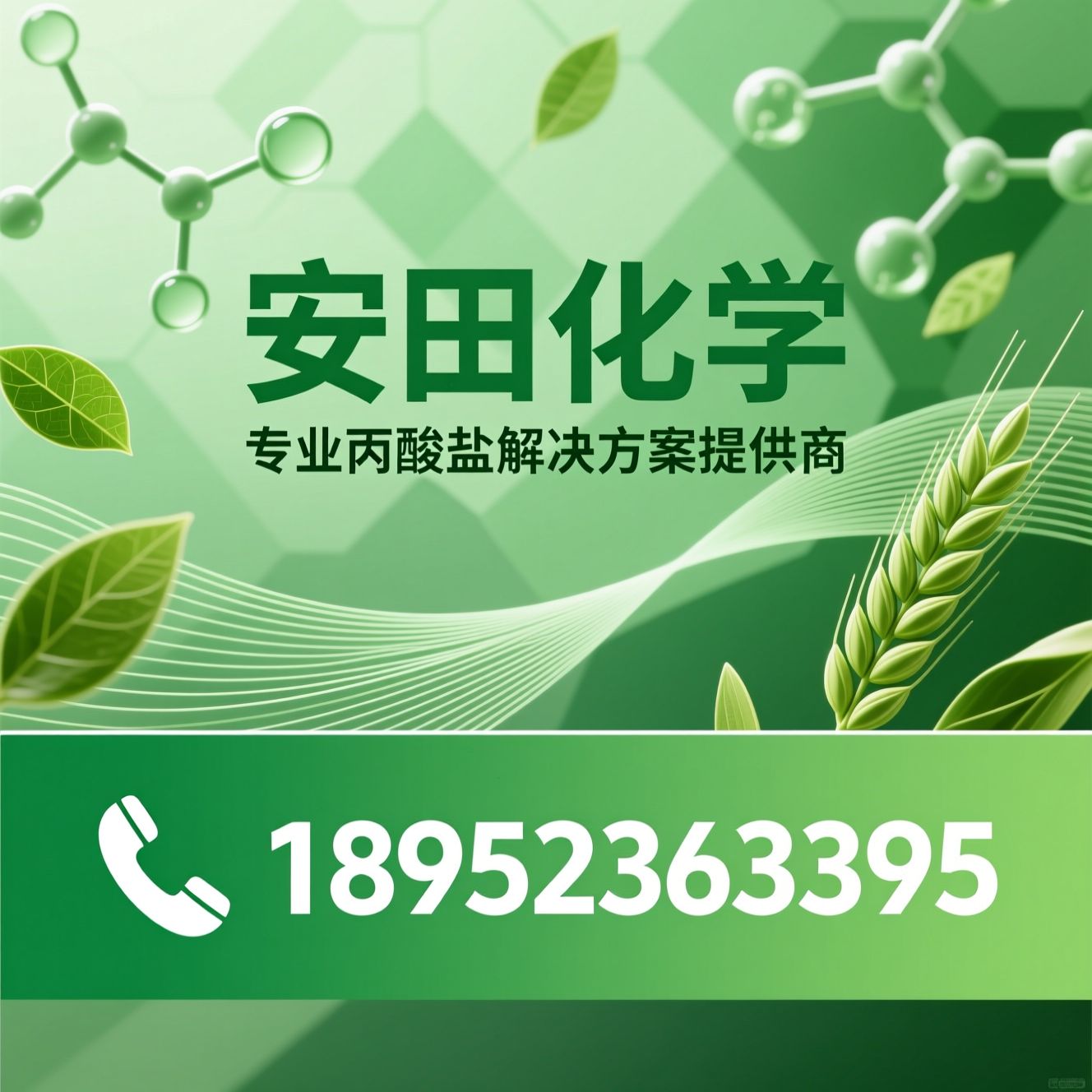 丙酸钙_丙酸钠/丙酸铵/推荐安田化学服务