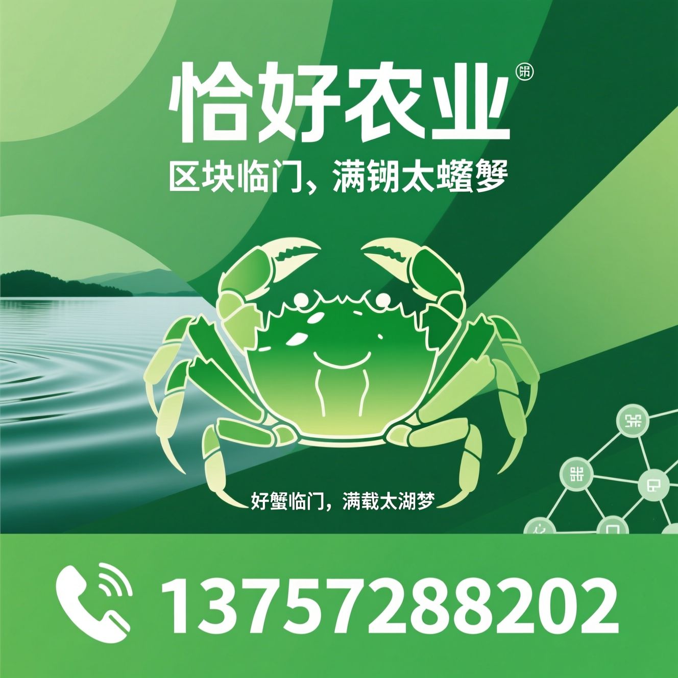 太湖蟹_大闸蟹品牌/生态养殖/推荐恰好农业服务