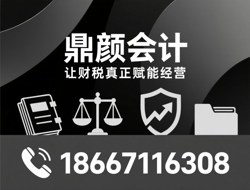 代理记账_基础财务服务/纸电双轨记账/推荐鼎颜会计服务
